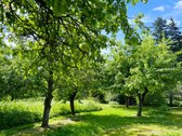 Ilgaamžių Medžių Apsupty Parduodamas - nuotraukos Nr. 22