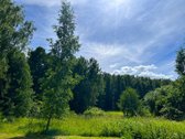 Ilgaamžių Medžių Apsupty Parduodamas - nuotraukos Nr. 25
