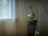 _ - nuotraukos Nr. 20
