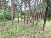 Ieškantiems Ramybės, Gamtos Ir Privatumo – - nuotraukos Nr. 17