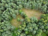 Ieškantiems Ramybės, Gamtos Ir Privatumo – - nuotraukos Nr. 8
