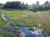 Parduodama Autentiška Sodyba Utenos Rajone  - nuotraukos Nr. 2