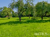 Verta Žinoti - nuotraukos Nr. 7