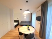 Išnuomojamas kokybiškai įrengtas vieno - nuotraukos Nr. 7