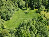 Graži 2500/20000 dalis žemės sklypo šalia - nuotraukos Nr. 6