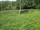 Graži 2500/20000 dalis žemės sklypo šalia - nuotraukos Nr. 18