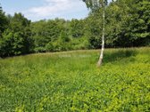 Graži 2500/20000 dalis žemės sklypo šalia - nuotraukos Nr. 21