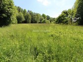Graži 2500/20000 dalis žemės sklypo šalia - nuotraukos Nr. 22