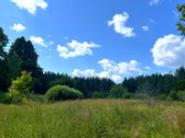 Vos 4 km nuo Zarasų, atokiame vienkiemyje - nuotraukos Nr. 23