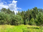 Vos 4 km nuo Zarasų, atokiame vienkiemyje - nuotraukos Nr. 24