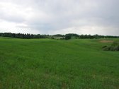 Nuomoju žemės ūkio sklypų masyvą Elektrėnų - nuotraukos Nr. 3