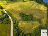  – Nt ekspertai be procentų - nuotraukos Nr. 7