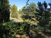 Parduodamas namas „klevo“ soduose, žalumos ir - nuotraukos Nr. 13
