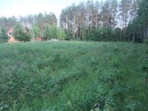Parduodamas 1,6 ha sklypas Tuščiaulių k. - nuotraukos Nr. 5