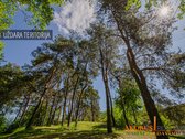Verta Žinoti - nuotraukos Nr. 45