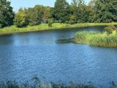 Pabėkite nuo miesto triukšmo – čia prasideda - nuotraukos Nr. 20