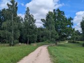 Parduodamas žemės ūkio paskirties sklypas