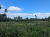 Parduodamas žemės ūkio paskirties sklypas - nuotraukos Nr. 7