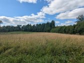 Parduodamas žemės ūkio paskirties sklypas - nuotraukos Nr. 6