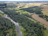 Anykščių raj., Pagojės II k. parduodami miškų - nuotraukos Nr. 11