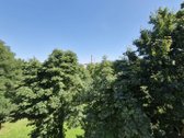 Brokerių Paslaugos Nedomina - nuotraukos Nr. 22