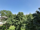 Brokerių Paslaugos Nedomina - nuotraukos Nr. 23