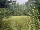 Sklypas vaizdingame Rudesos kaime, šalia - nuotraukos Nr. 3