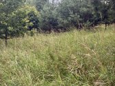 Sklypas vaizdingame Rudesos kaime, šalia - nuotraukos Nr. 5