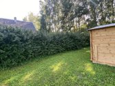 Parduodamas erdvus 12 arų sklypas su dviem - nuotraukos Nr. 4