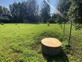 Parduodamas erdvus 12 arų sklypas su dviem - nuotraukos Nr. 12