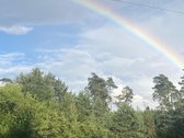 Parduodamas erdvus 12 arų sklypas su dviem - nuotraukos Nr. 13