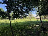 Sodyba su 4,7 ha sklypu šalia Kantaučių - nuotraukos Nr. 9