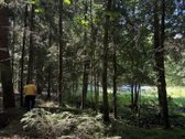 Sodyba su 4,7 ha sklypu šalia Kantaučių - nuotraukos Nr. 12