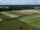 Parduodamas 1,04 ha (104 arų) namų valdos - nuotraukos Nr. 9
