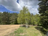 Parduodamas 10,06 arų sklypas vienoje - nuotraukos Nr. 3