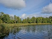 Parduodamas 0,85 ha namų valdos žemės sklypas - nuotraukos Nr. 7