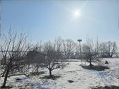 Sodyba ant kalvos Bielskiškių k., Kelmės r. – - nuotraukos Nr. 16