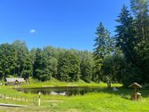 Provanso Stiliumi Įrengtas Namas Su - nuotraukos Nr. 24