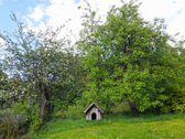 Išskirtinė Sodyba Su Tvenkiniu Miškų - nuotraukos Nr. 24