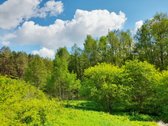 Išskirtinė Sodyba Su Tvenkiniu Miškų - nuotraukos Nr. 26