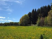 Sodyba su gyvybės šaltiniu: namai, kuriuose - nuotraukos Nr. 30