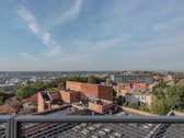 Stilingas Loftas su nuostabia miesto panorama - nuotraukos Nr. 25