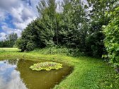 Parduodama jauki sodyba su tvenkiniu ir - nuotraukos Nr. 4