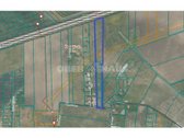 Perspektyvus 1.74 ha sklypas Šlapšilėje – - nuotraukos Nr. 4