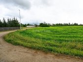 Perspektyvus 1.74 ha sklypas Šlapšilėje – - nuotraukos Nr. 10