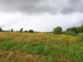 Perspektyvus 1.74 ha sklypas Šlapšilėje – - nuotraukos Nr. 11