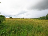 Perspektyvus 1.74 ha sklypas Šlapšilėje – - nuotraukos Nr. 13
