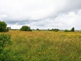 Perspektyvus 1.74 ha sklypas Šlapšilėje – - nuotraukos Nr. 14