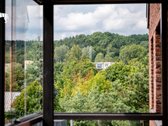 Vienoje prestižiškiausių ir žaliausių - nuotraukos Nr. 8