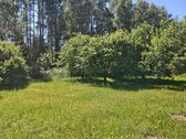 Parduodu žemės ūkio/mėgėjų sodo žemės sklypą - nuotraukos Nr. 2